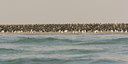 BUITEN BEELD Foto: 6547