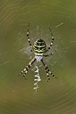 BUITEN BEELD Foto: 6633