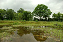 BUITEN BEELD Foto: 69045
