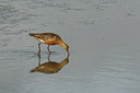 BUITEN BEELD Foto: 69141