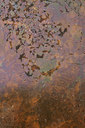 BUITEN BEELD Foto: 69181