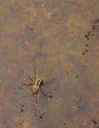 BUITEN BEELD Foto: 69185
