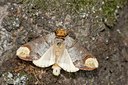 BUITEN BEELD Foto: 69200