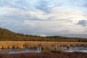 BUITEN BEELD Foto: 69207