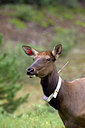 BUITEN BEELD Foto: 69322