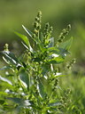 BUITEN BEELD Foto: 69354