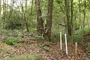 BUITEN BEELD Foto: 69381