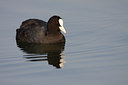BUITEN BEELD Foto: 69415