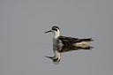 BUITEN BEELD Foto: 69444