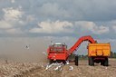 BUITEN BEELD Foto: 69472