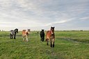 BUITEN BEELD Foto: 69484