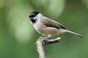 BUITEN BEELD Foto: 69502
