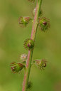 BUITEN BEELD Foto: 69531