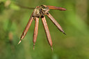 BUITEN BEELD Foto: 69551