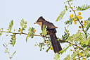 BUITEN BEELD Foto: 69567