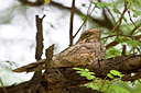 BUITEN BEELD Foto: 69576