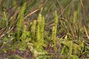 BUITEN BEELD Foto: 69579