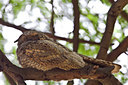 BUITEN BEELD Foto: 69580