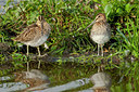 BUITEN BEELD Foto: 69687