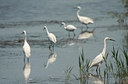 BUITEN BEELD Foto: 69737