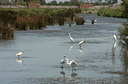 BUITEN BEELD Foto: 69739