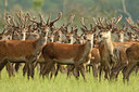 BUITEN BEELD Foto: 69790
