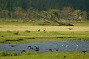 BUITEN BEELD Foto: 69811