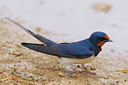 BUITEN BEELD Foto: 69861