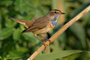 BUITEN BEELD Foto: 69897