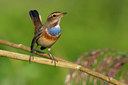 BUITEN BEELD Foto: 69898