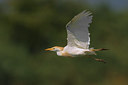 BUITEN BEELD Foto: 69919
