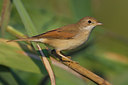 BUITEN BEELD Foto: 70019