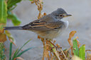 BUITEN BEELD Foto: 70021