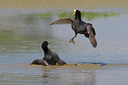 BUITEN BEELD Foto: 70043