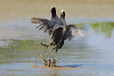 BUITEN BEELD Foto: 70049