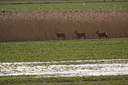 BUITEN BEELD Foto: 70058