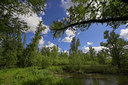 BUITEN BEELD Foto: 70070