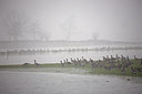 BUITEN BEELD Foto: 70094