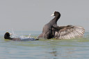 BUITEN BEELD Foto: 70096
