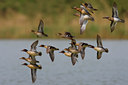 BUITEN BEELD Foto: 70160
