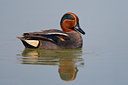 BUITEN BEELD Foto: 70161