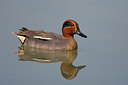 BUITEN BEELD Foto: 70162