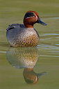 BUITEN BEELD Foto: 70163