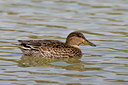BUITEN BEELD Foto: 70164