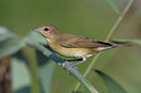 BUITEN BEELD Foto: 70170