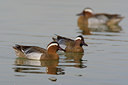 BUITEN BEELD Foto: 70179