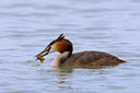 BUITEN BEELD Foto: 70190