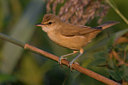 BUITEN BEELD Foto: 70206