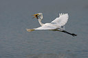 BUITEN BEELD Foto: 70234