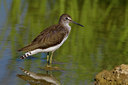 BUITEN BEELD Foto: 70245